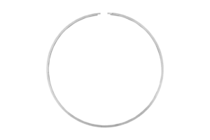 PT6 Power Turbine Seal Ring (2)_E3057818-01 (2) 